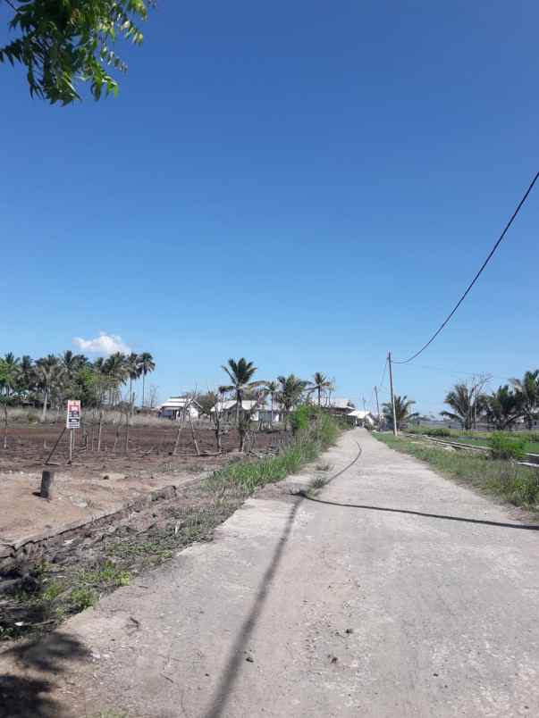 dijual tanah pemenang timur lombok