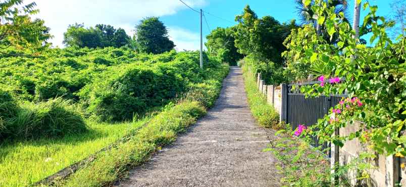 dijual tanah pengambengan negara