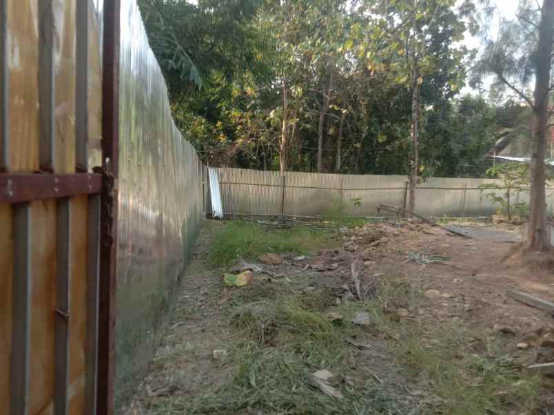 dijual tanah pertanian luas tepi jalan utama di bantul