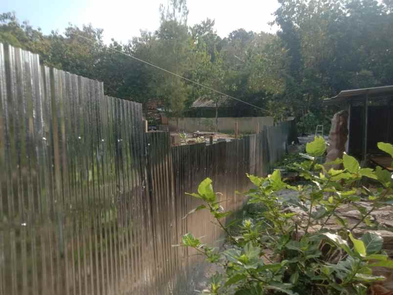 dijual tanah pertanian luas tepi jalan utama di bantul