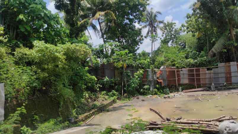 dijual tanah pertanian luas tepi jalan utama di bantul