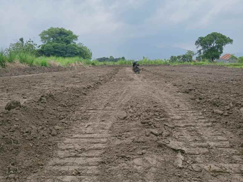 dijual tanah pohjejer kec gondang