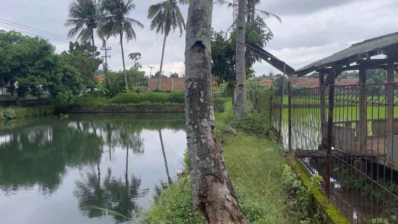 dijual tanah purwakarta kota