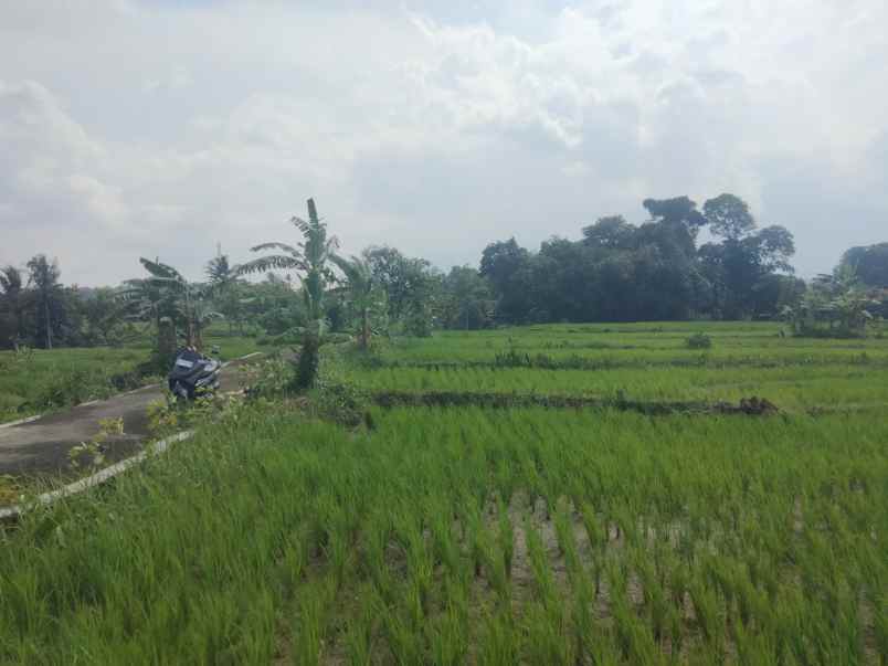 dijual tanah sawah view gunung akses jl mobil