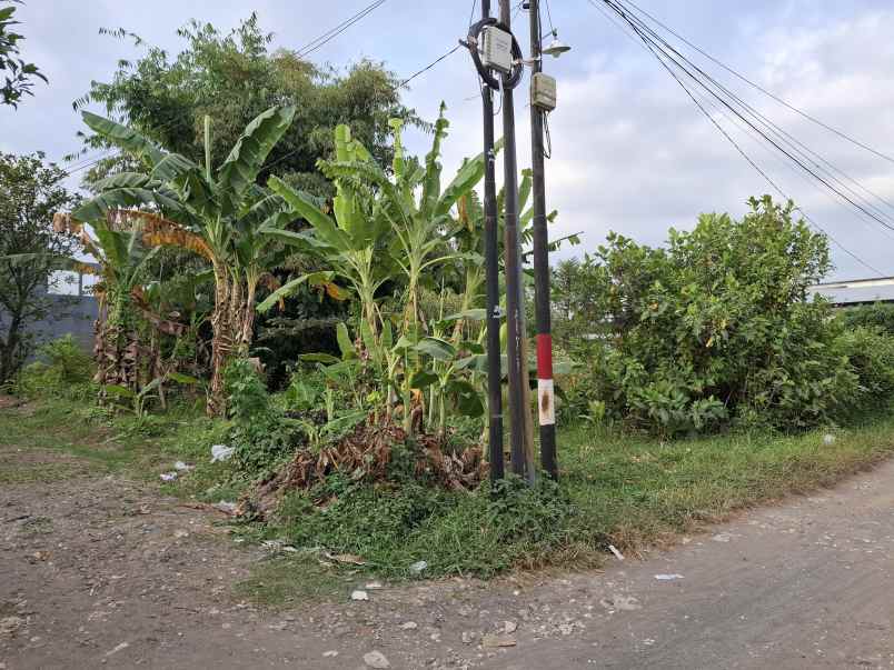 dijual tanah siap bangun dekat roxy jember