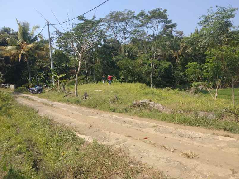 dijual tanah sukasari mandirancan