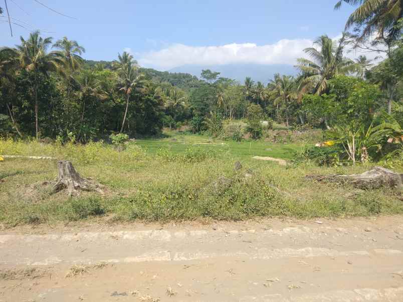 dijual tanah sukasari mandirancan