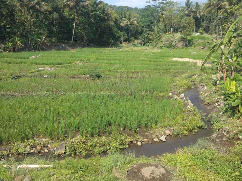 dijual tanah sukasari mandirancan