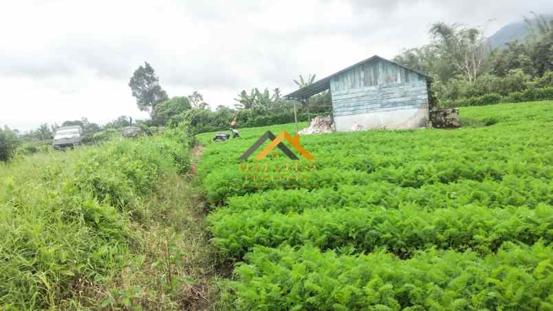 dijual tanah tanjung barus berastagi