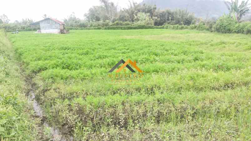 dijual tanah tanjung barus berastagi