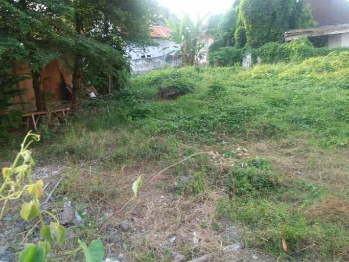 dijual tanah tepi jalan raya provinsi