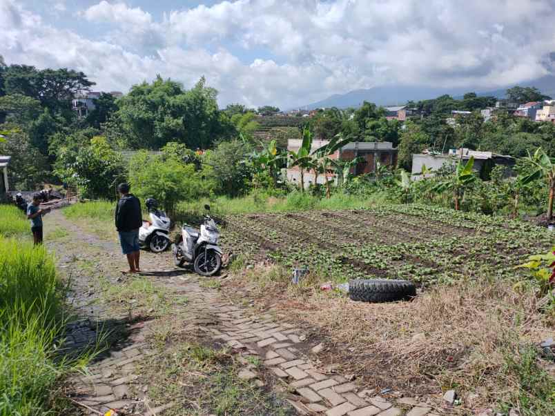 dijual tanah terabasan temas pandan