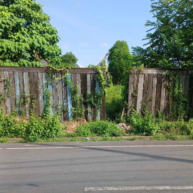 dijual tanah teuku umar barat