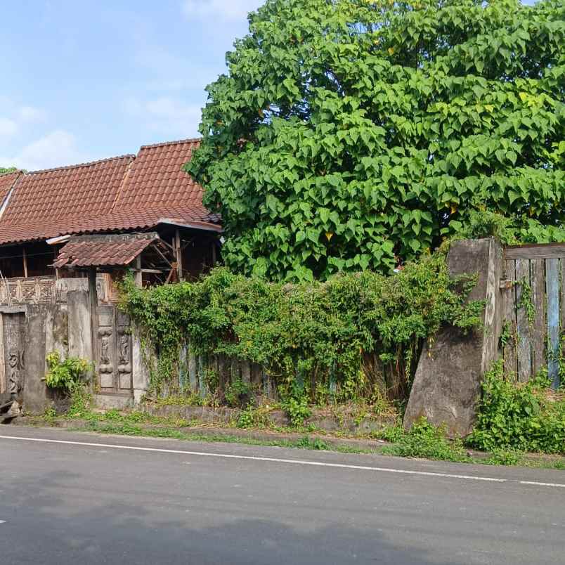 dijual tanah teuku umar barat
