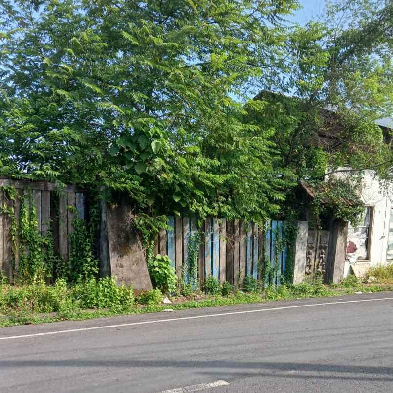 dijual tanah teuku umar barat