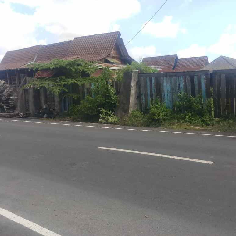 dijual tanah teuku umar barat