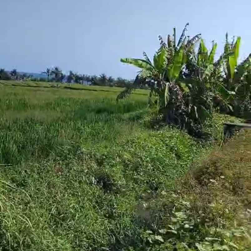 dijual tanah tibubiu