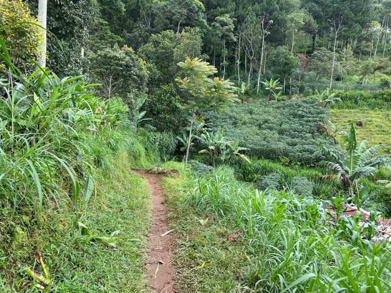 dijual tanah utara candi cetho karanganyar