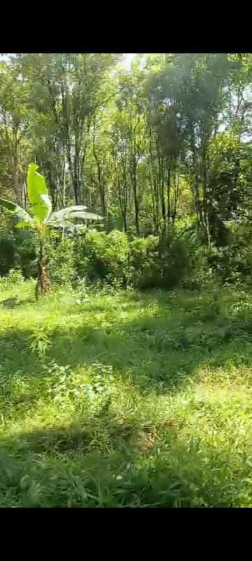 dijual tanah view bagus udara sejuk