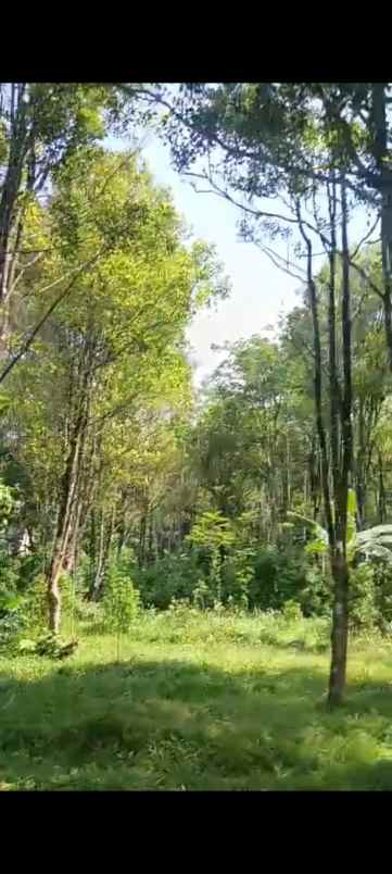 dijual tanah view bagus udara sejuk