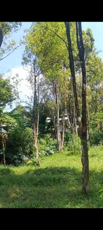 dijual tanah view bagus udara sejuk