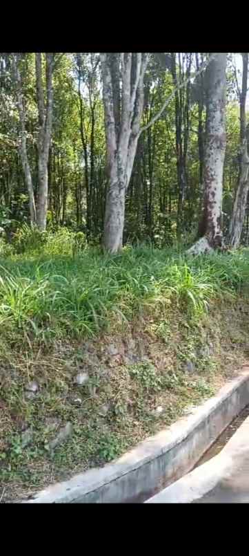 dijual tanah view bagus udara sejuk