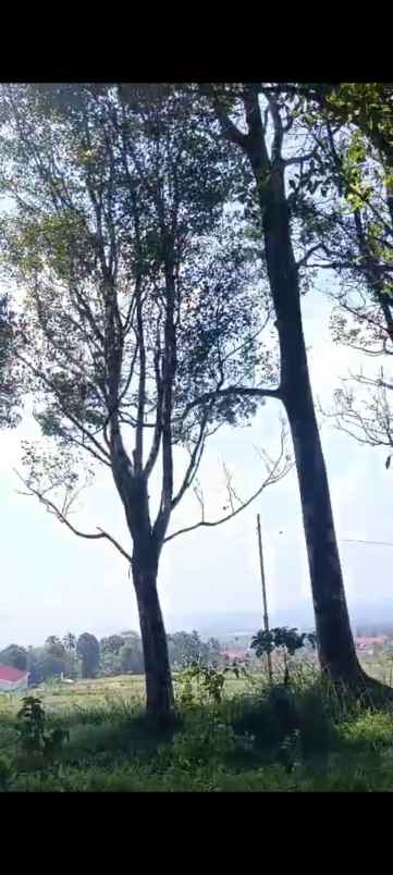 dijual tanah view bagus udara sejuk