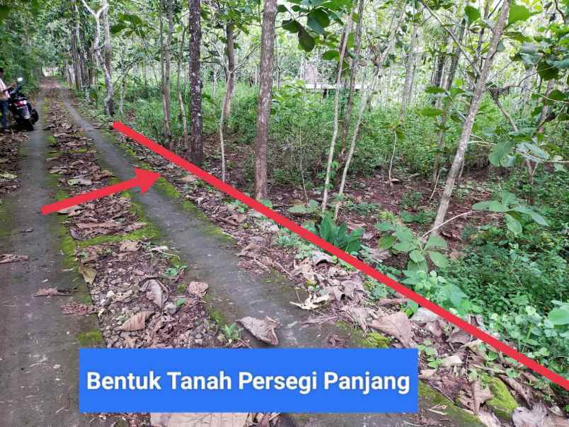 dijual tanah wonosari