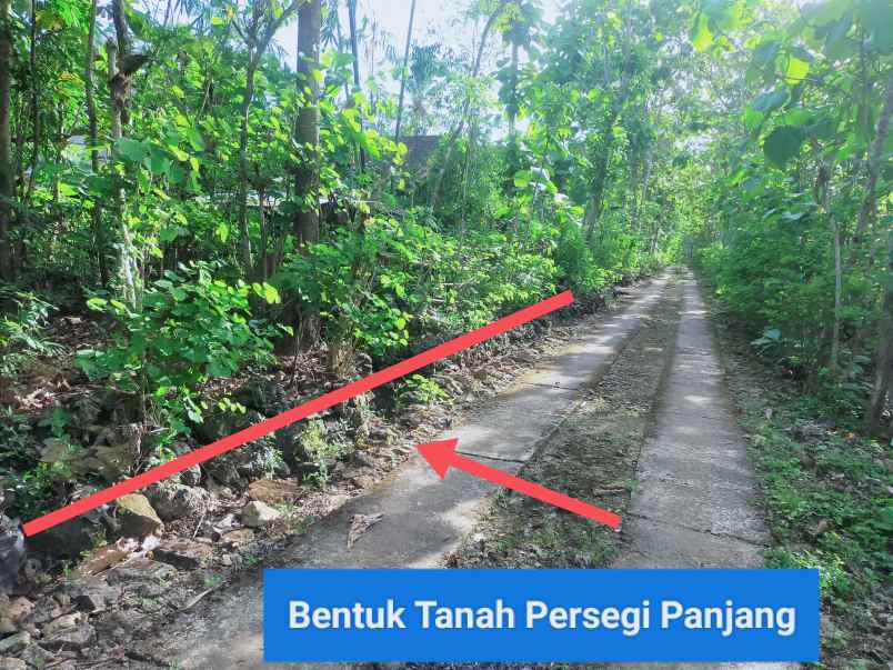 dijual tanah wonosari