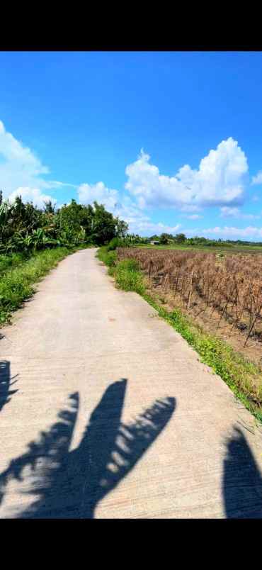 disewakan tanah tibu biu tabanan bali