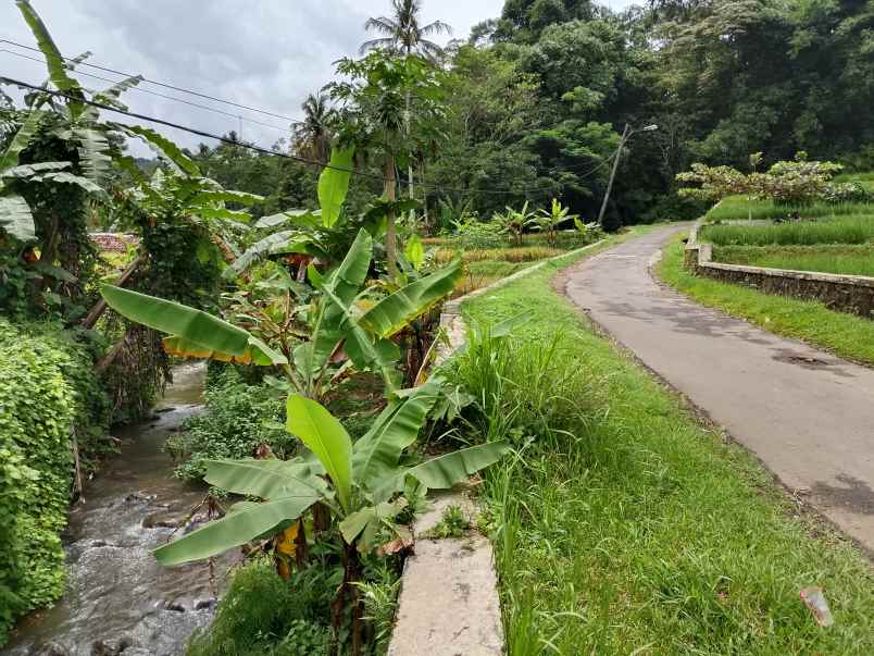 for sale tanah sawah dekat sungai jalan cagak subang