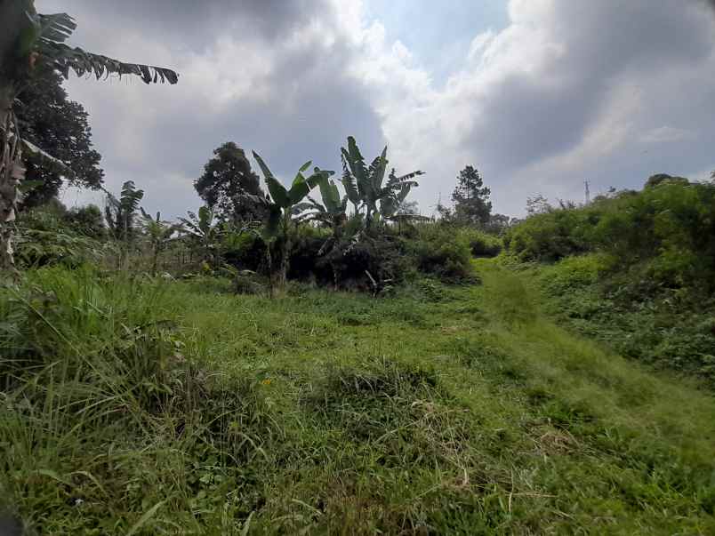 jual cepat tanah dekat kawasan wisata di ciater subang