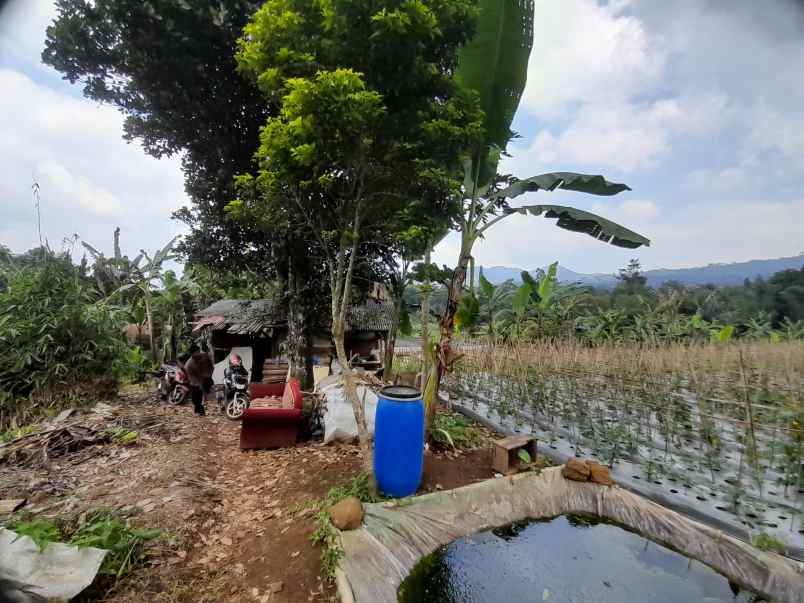 jual cepat tanah dekat kawasan wisata di ciater subang