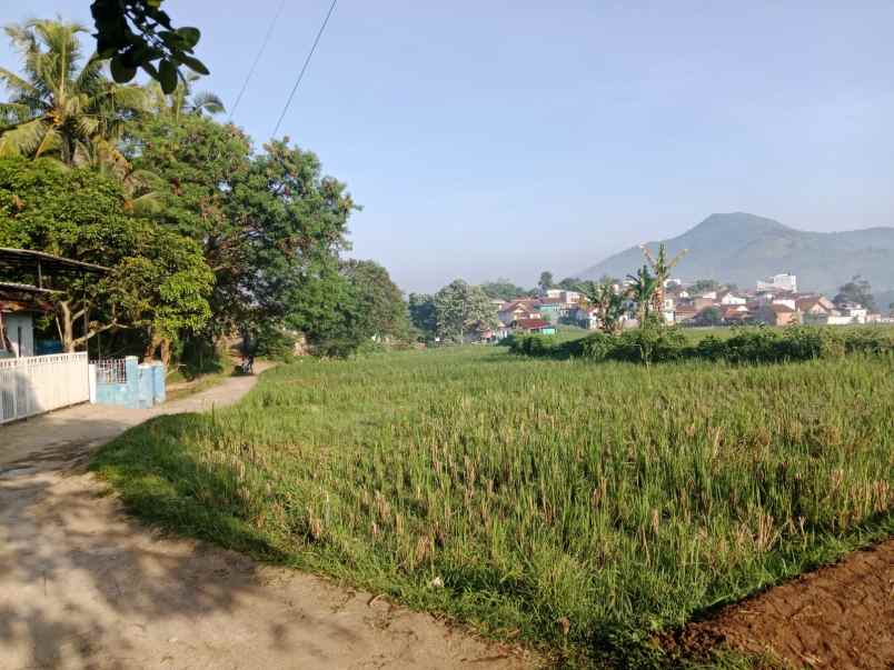 jual cepat tanah sawah cimanggung sumedang