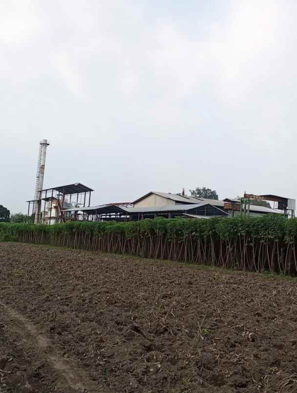 jual pabrik gula pasir strategis di daerah kab kediri