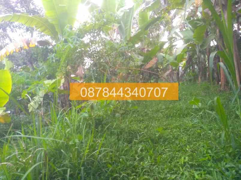 jual tanah 400m2 tetebatu lombok timur lombok a9f989