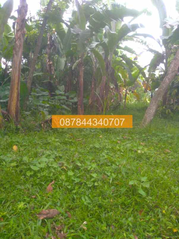 jual tanah 400m2 tetebatu lombok timur lombok a9f989