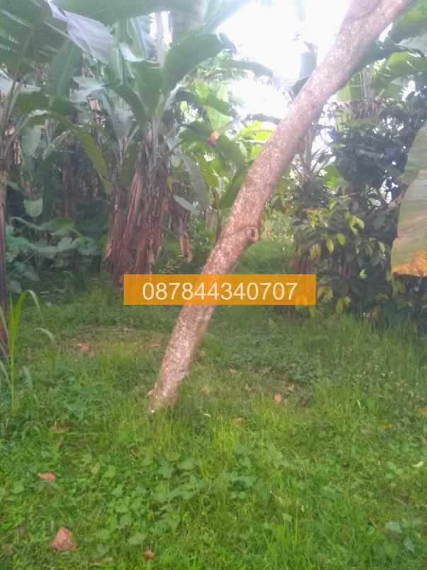 jual tanah 400m2 tetebatu lombok timur lombok a9f989