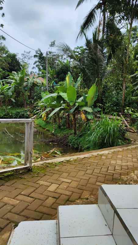 jual tanah dekat masjid udara sejuk pedesaan