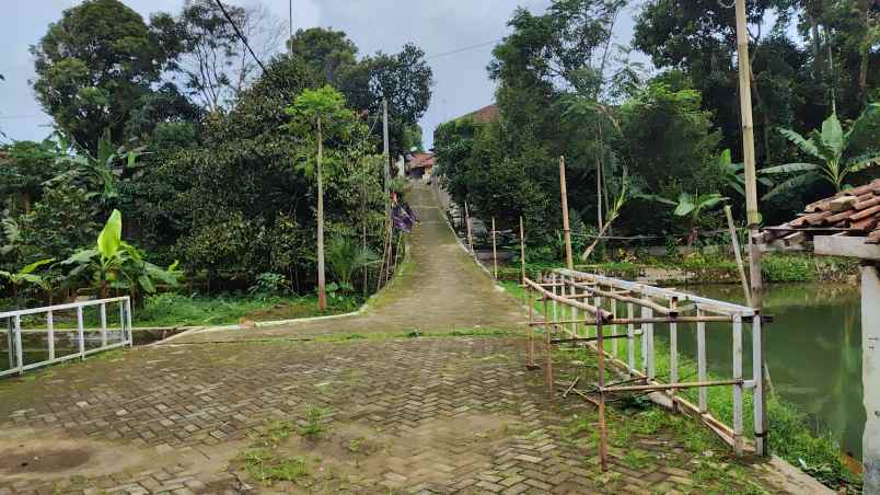 jual tanah dekat masjid udara sejuk pedesaan