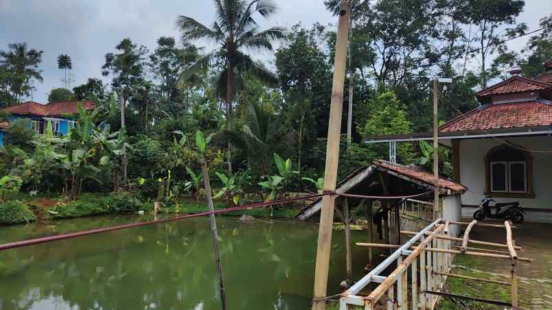 jual tanah dekat masjid udara sejuk pedesaan