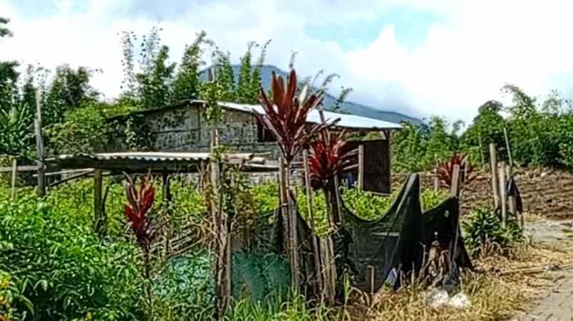 jual tanah di berastagi dolat rayat shm o85i 39i3 29i3