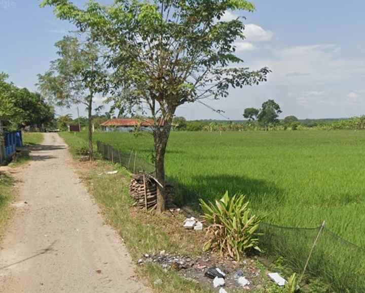 jual tanah kawasan industri desa padaasih subang