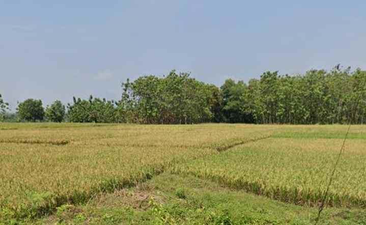 jual tanah kawasan industri desa padaasih subang