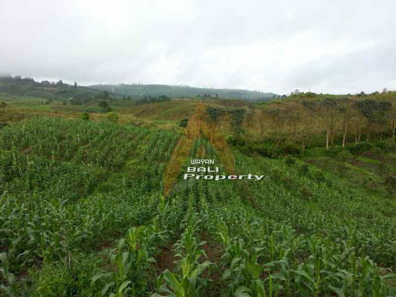 jual tanah puncak siosar medan sumatra utara