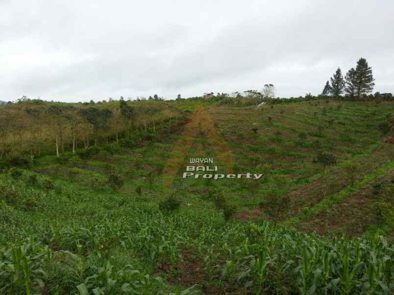 jual tanah puncak siosar medan sumatra utara