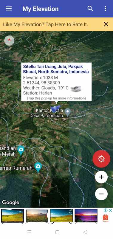 kebun shm murah 5 hektar 650 juta pinggiir jln aspal