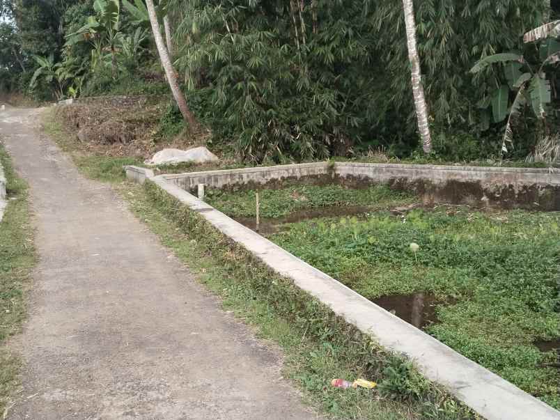 lahan mata air sagalaherang subang jawa barat