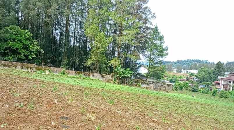 peceren berastagi tanah premium shm 14 236m dijual