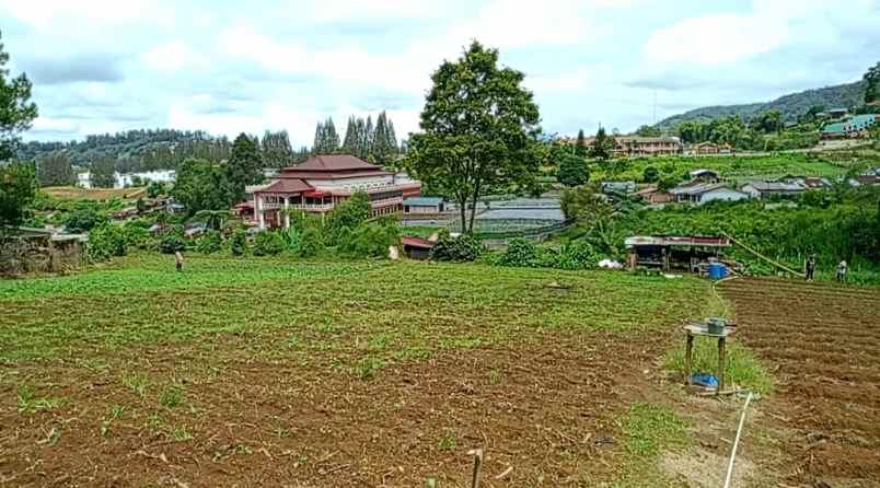 peceren berastagi tanah premium shm 14 236m dijual